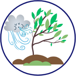 Stress Resilience Training